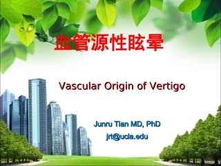 血管源性眩晕-V4-20130517