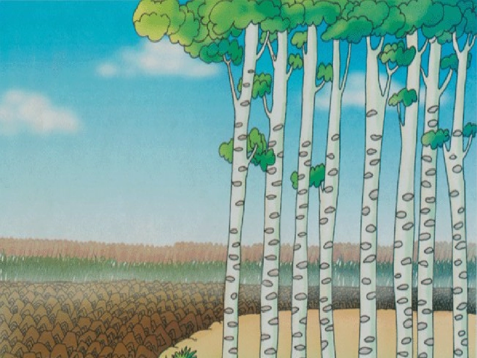 《土地的誓言》_第1页