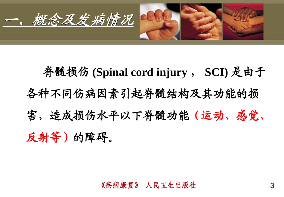 第五章脊髓损伤患者的康复_第3页