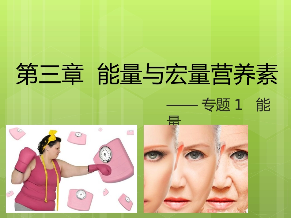 食品营养学第三章-能量_第2页