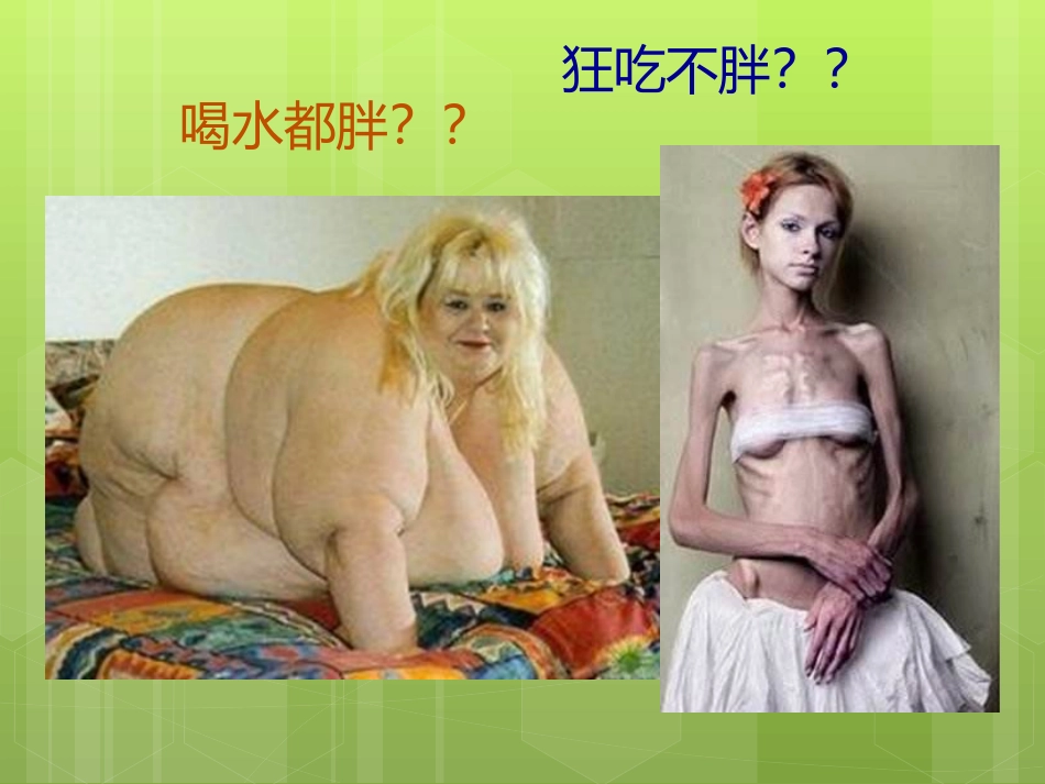 食品营养学第三章-能量_第3页