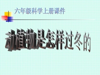 动植物是怎样过冬的PPT