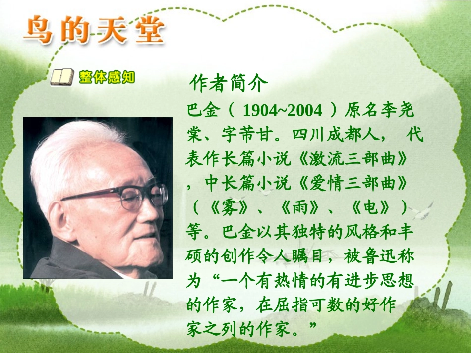 鸟的天堂课件_第2页