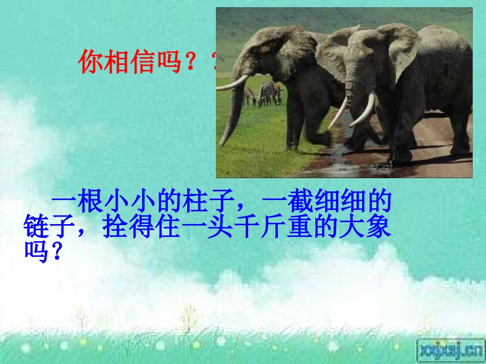 养成好习惯主题班会_第2页