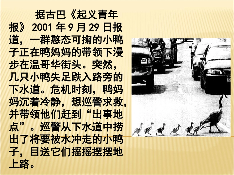 人教版六上第七单元习作《看新闻图片写故事》PPT(正稿)_第2页
