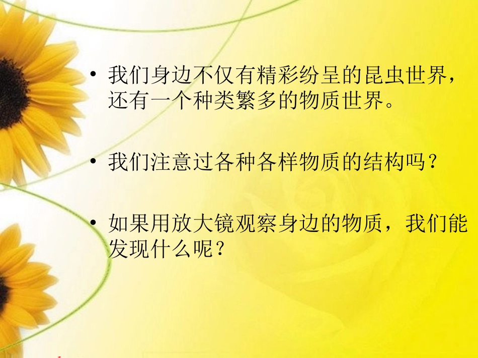 放大镜下的晶体_第2页