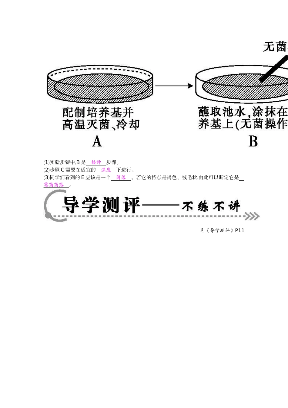 《细菌和真菌的分布》导学案_第3页