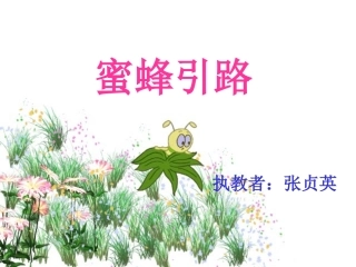 蜜蜂引路课件张贞英
