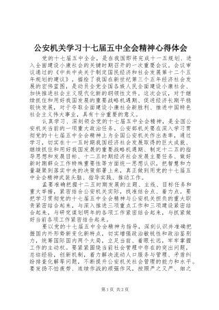 公安机关学习十七届五中全会精神心得体会