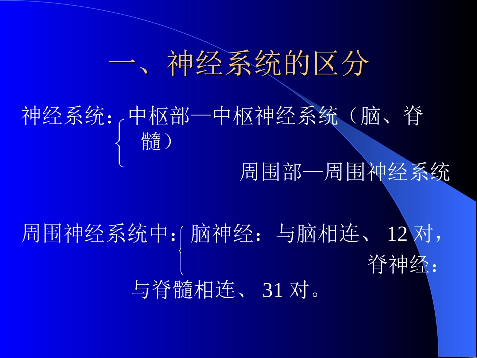 第十章 神 经 系 统_第3页