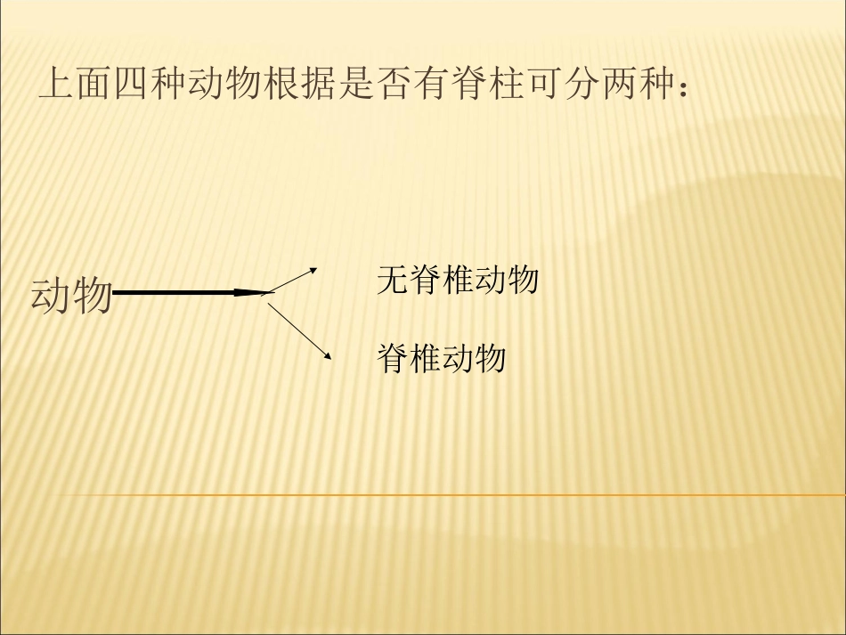 腔肠动物和扁形动物_第2页