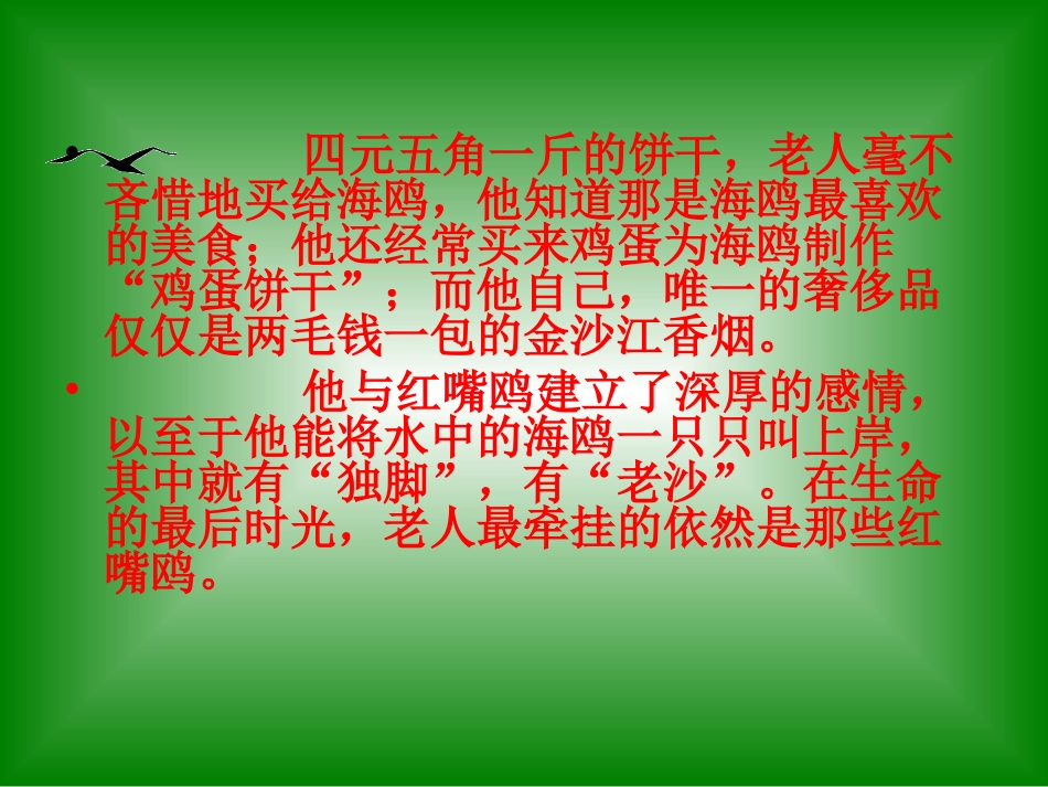 《老人与海鸥》课件_第3页