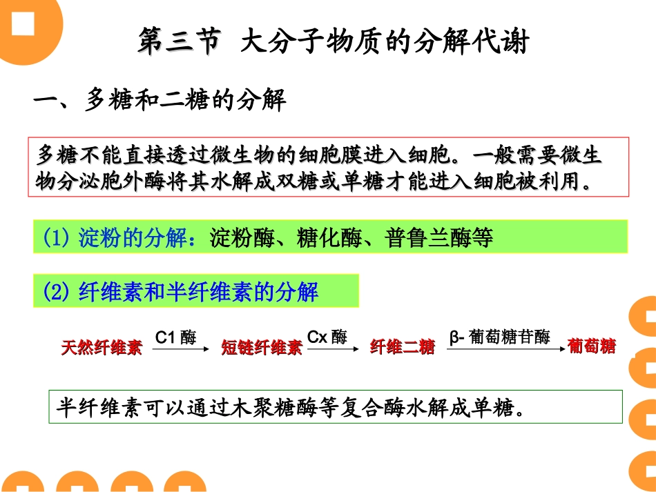 第六章 微生物的代谢b_第3页