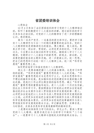 省团委培训体会