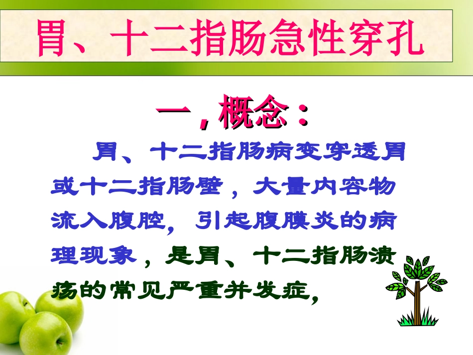 胃十二指肠.._第2页