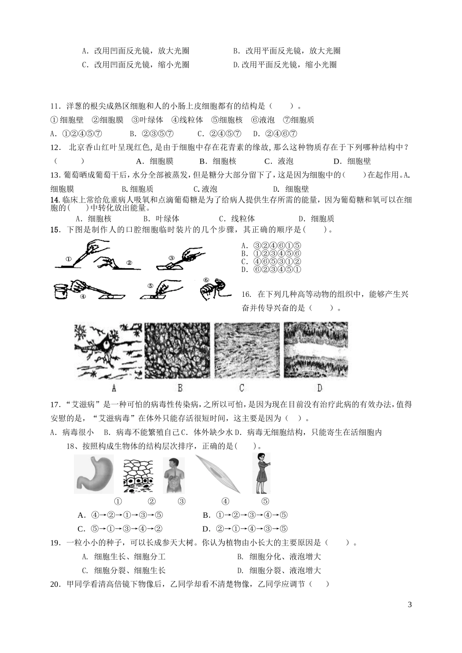 八下生物《生物体结构层次》练习题_第3页