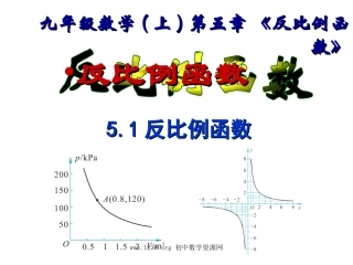 北师大版初中九上5、1反比例函数PPT课件2