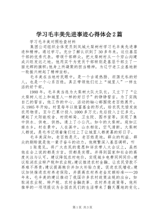 学习毛丰美先进事迹心得体会2篇 (2)