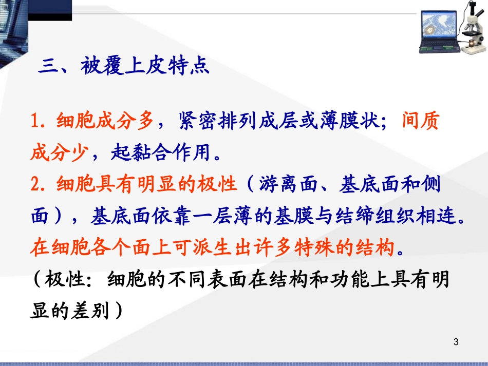 第二章： 上皮组织_第3页