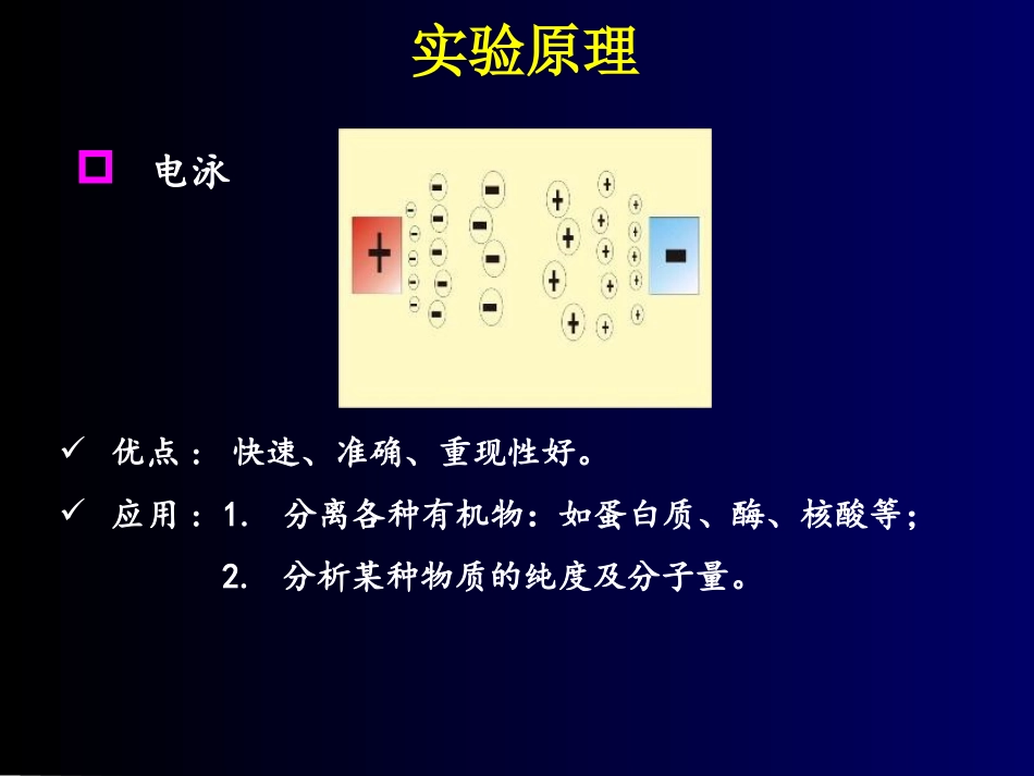 醋酸纤维素薄膜电泳_第3页
