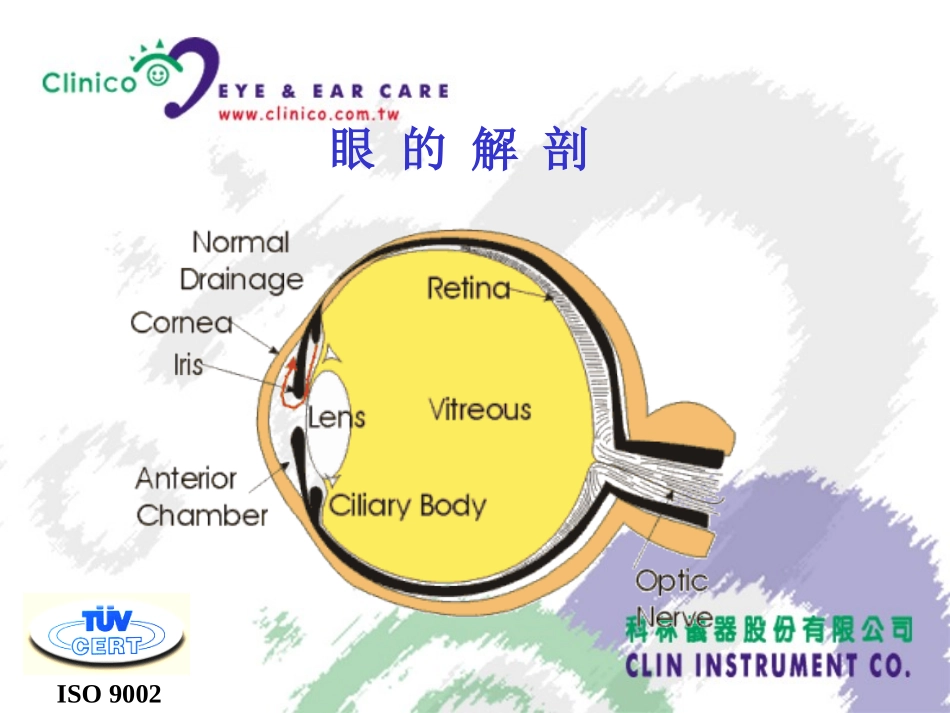 眼底造影基础_第2页