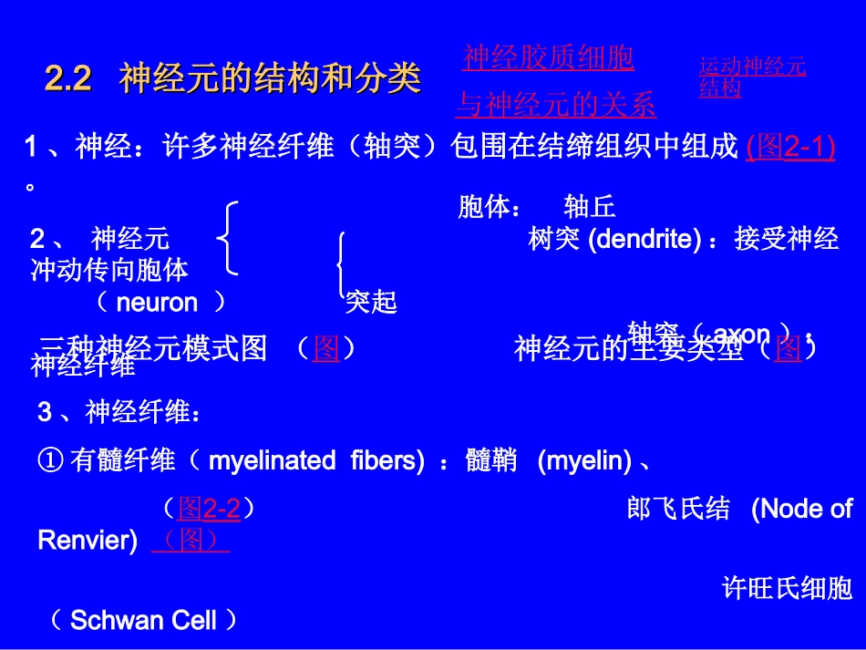 第二章 神经的兴奋与传导_第3页