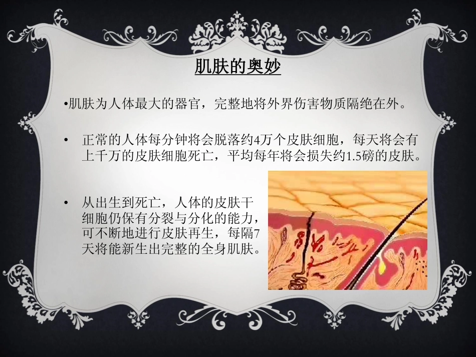 CRPLux院长_第2页