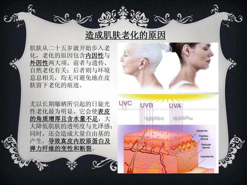 CRPLux院长_第3页