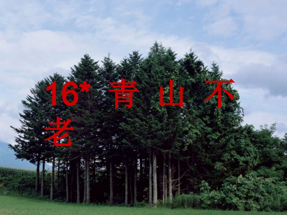 谭仁淑《青山不老》课件_第1页