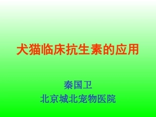 犬猫临床抗生素的应用