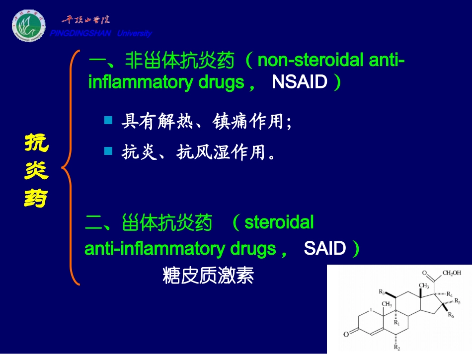 cq18解热镇痛抗炎教程_第3页