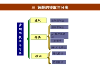 黄酮2溶剂提取法