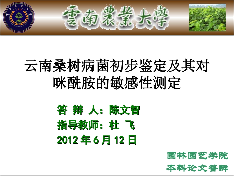 桑树叶斑病防治PPT_第1页