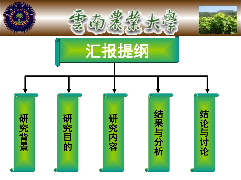 桑树叶斑病防治PPT_第2页