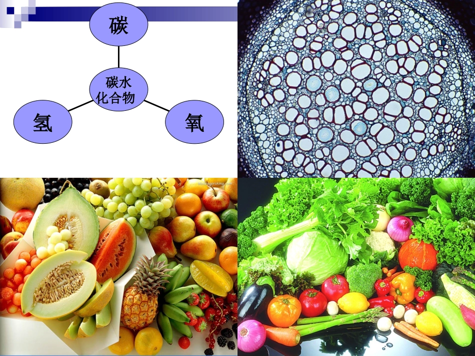 《食品营养与卫生》-第五讲-碳水化合物-2016测试版_第3页