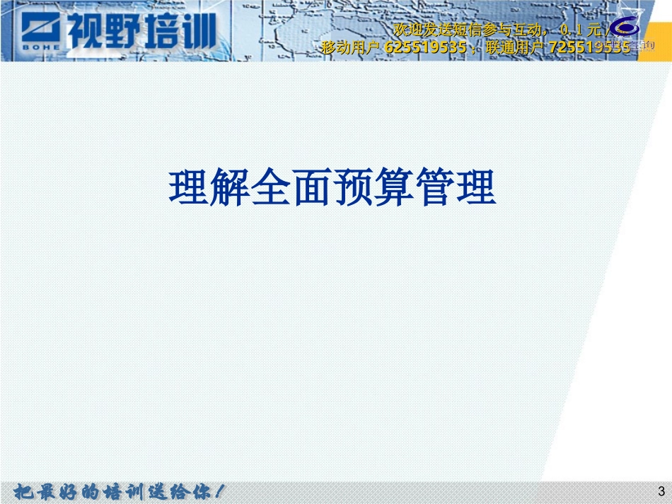 全面预算管理(视野)_第3页