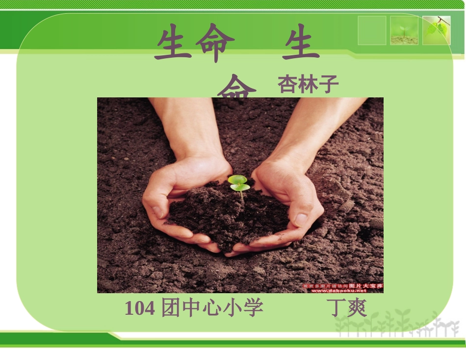 生命生命（丁爽）_第1页