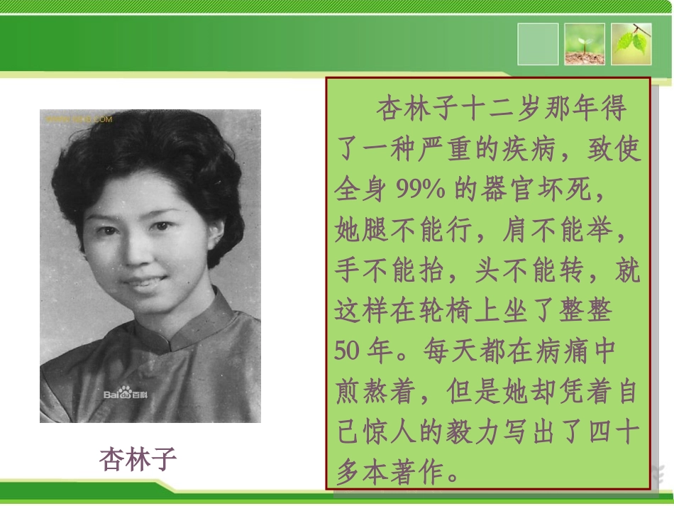 生命生命（丁爽）_第3页