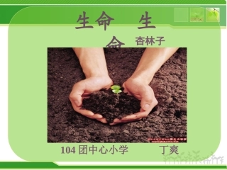 生命生命（丁爽）