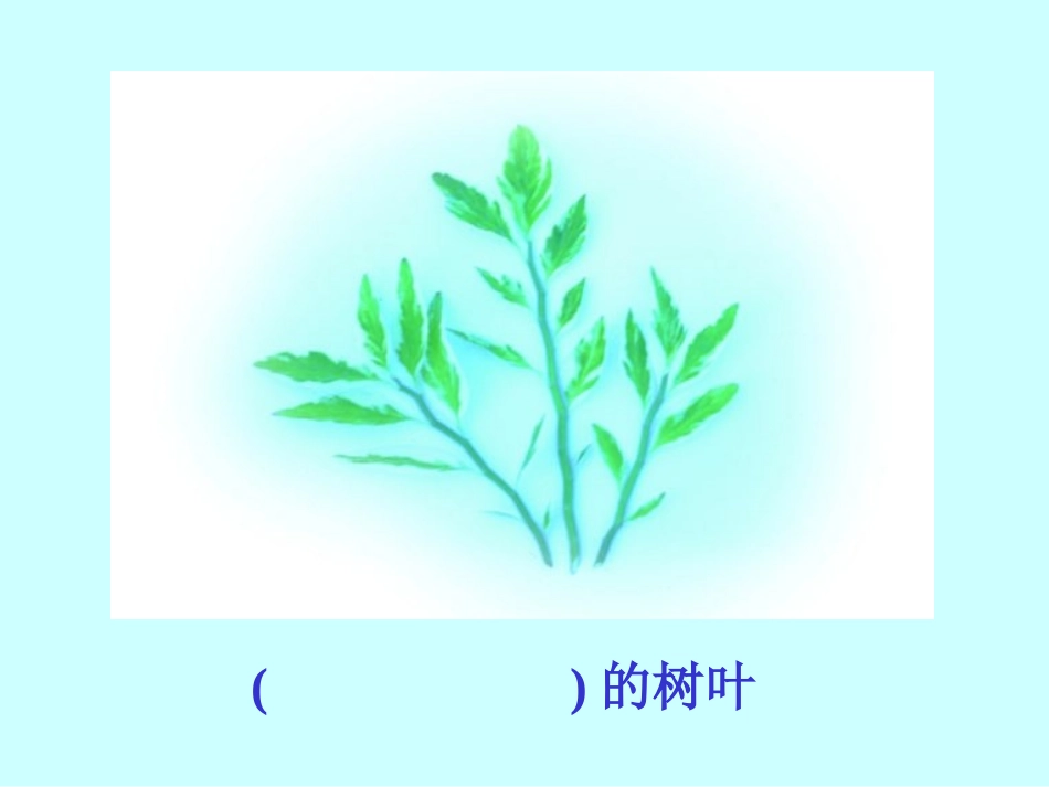 蓝色的树叶的课件_第3页