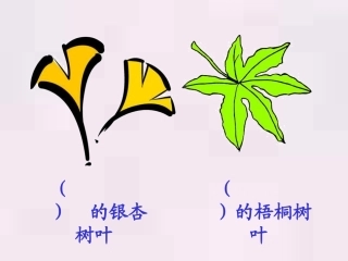 蓝色的树叶的课件