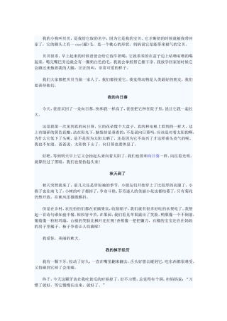 我的小狗叫贝贝