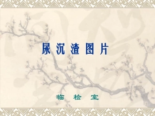尿沉渣图片整理