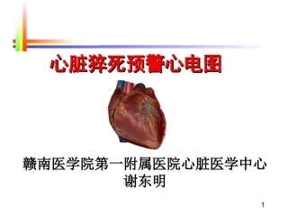 心脏猝死预警心电图(谢东明)