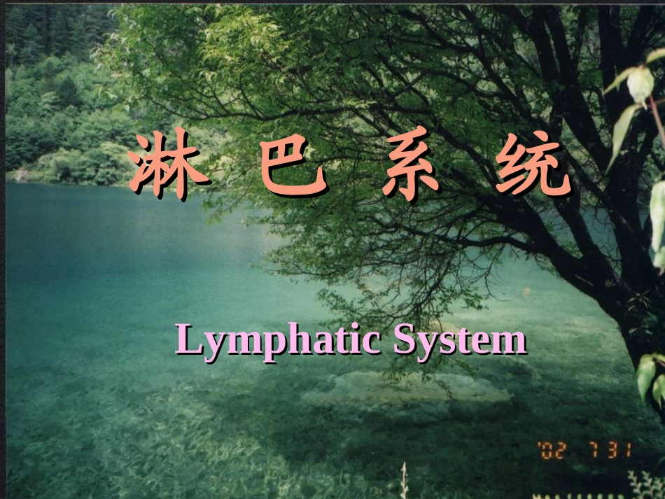 第二章淋巴系统讲课课件2013-11-11_第1页