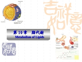 动物生物化学 10 脂类代谢