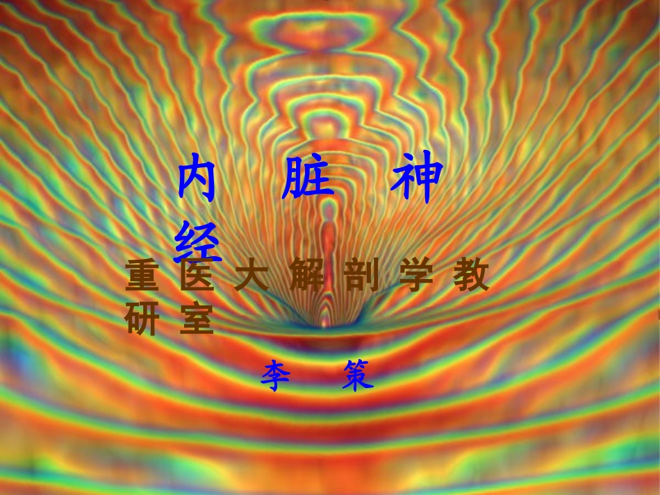 内脏神经及感觉传导路_第1页