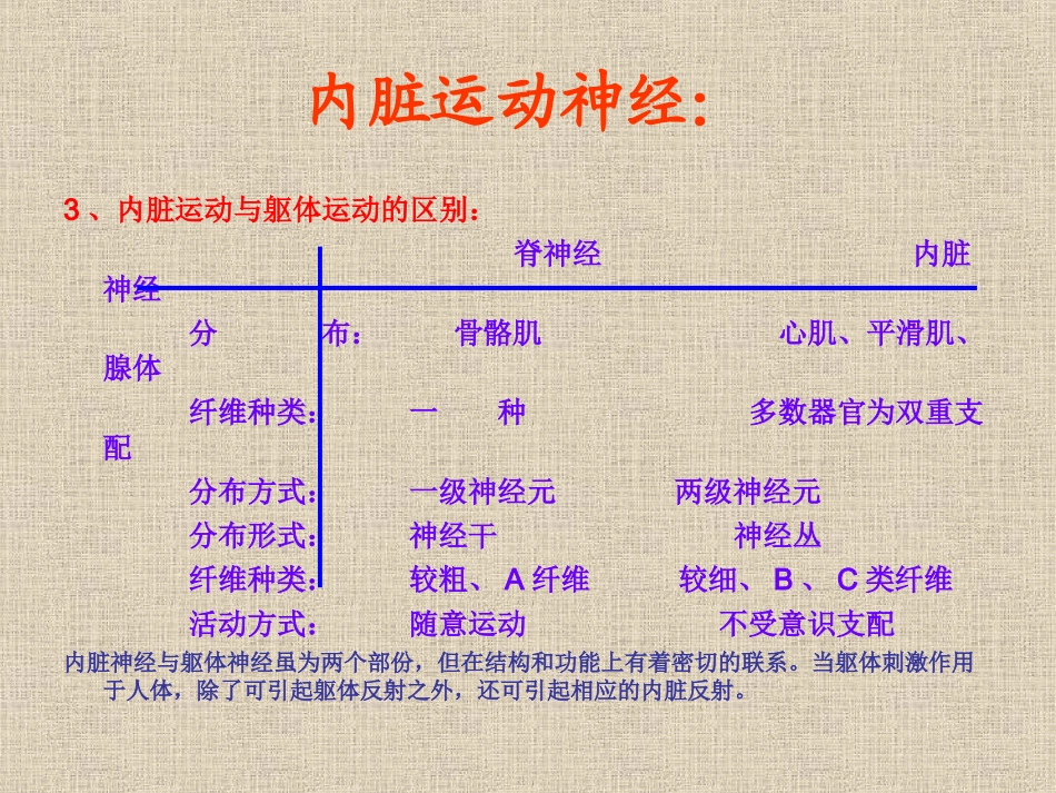 内脏神经及感觉传导路_第3页