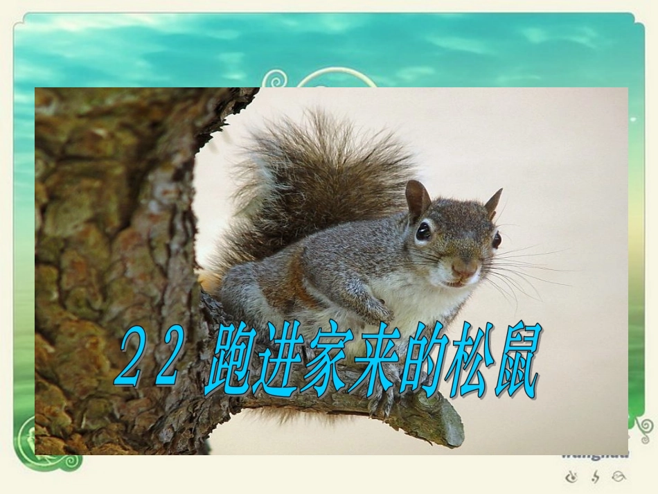 《跑进家来的松鼠课》教学课件2_第1页