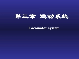 下肢骨主要关节